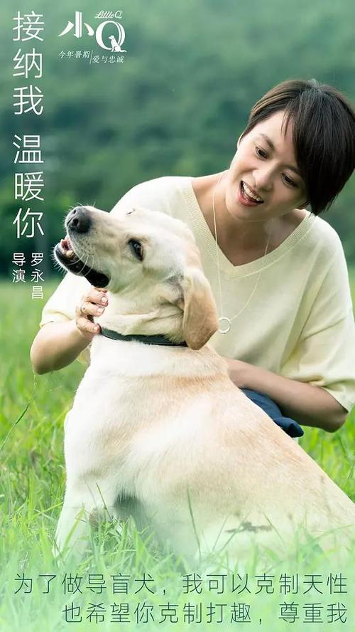 克拉克州立社区学院学士证书